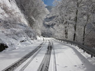 道路状況