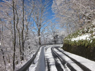 道路状況