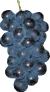 ̃y[W