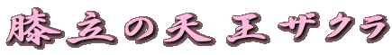 G̓VUN