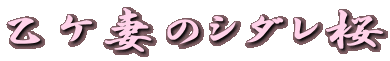PȂ̃V_